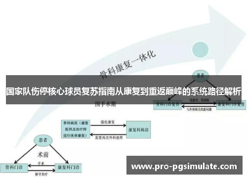 国家队伤停核心球员复苏指南从康复到重返巅峰的系统路径解析 国家队伤停核心球员复苏指南从康复到重返巅峰的系统路径解析