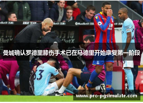 曼城确认罗德里膝伤手术已在马德里开始康复第一阶段 曼城确认罗德里膝伤手术已在马德里开始康复第一阶段